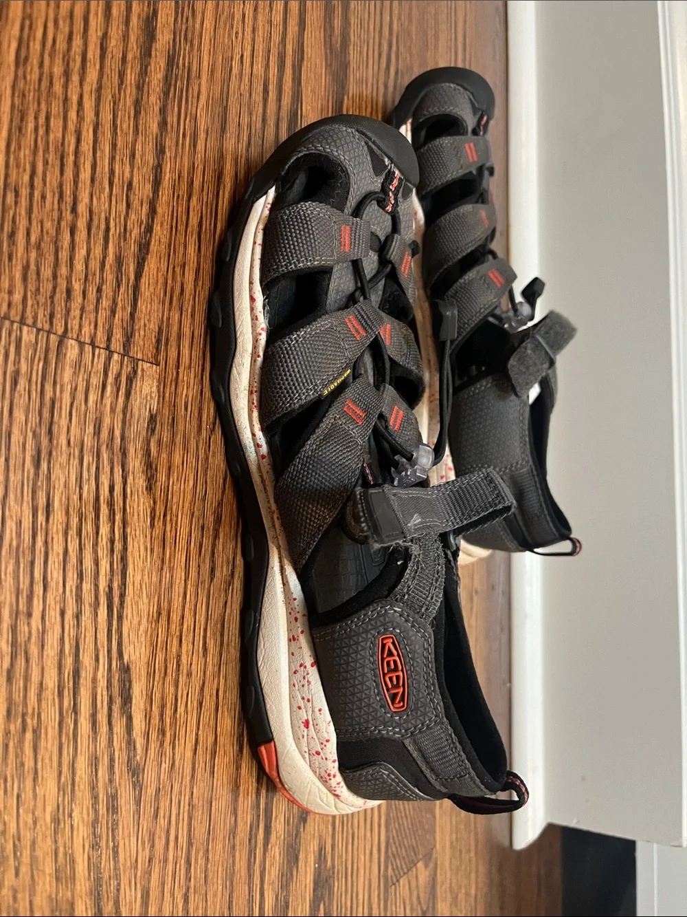 KEEN water shoes